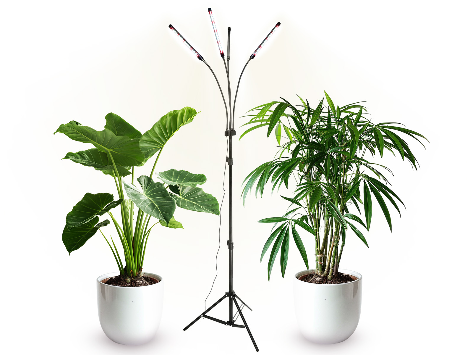 Lampa do roślin LED VITARO 4 ST 30W